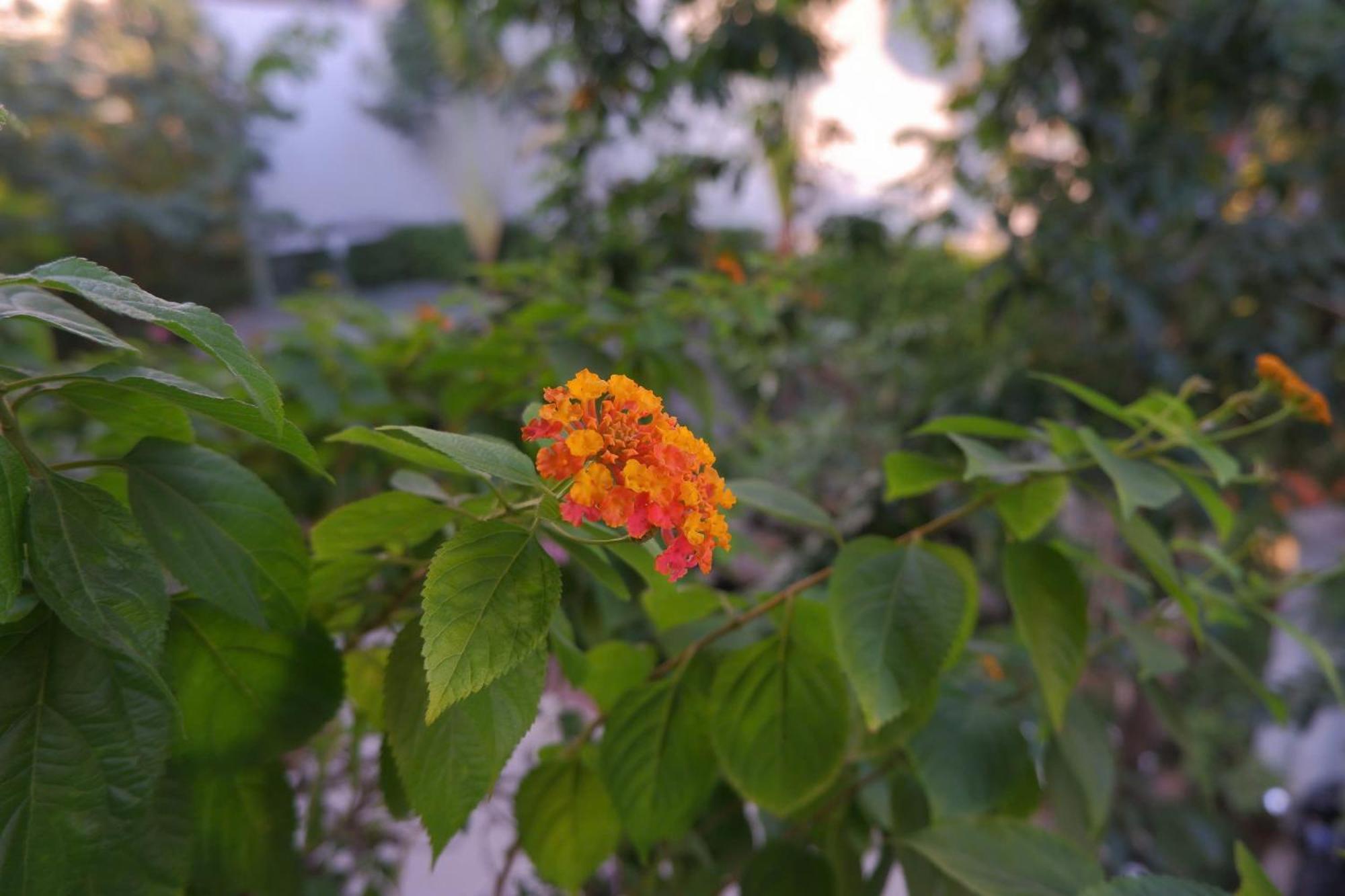 Tuong VI Hotel Hai Phong Eksteriør bilde
